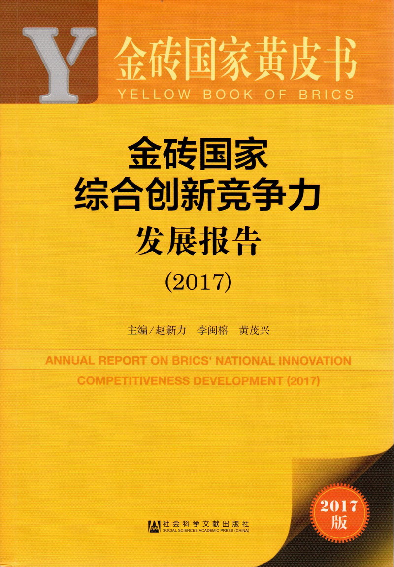 caosao逼逼金砖国家综合创新竞争力发展报告（2017）